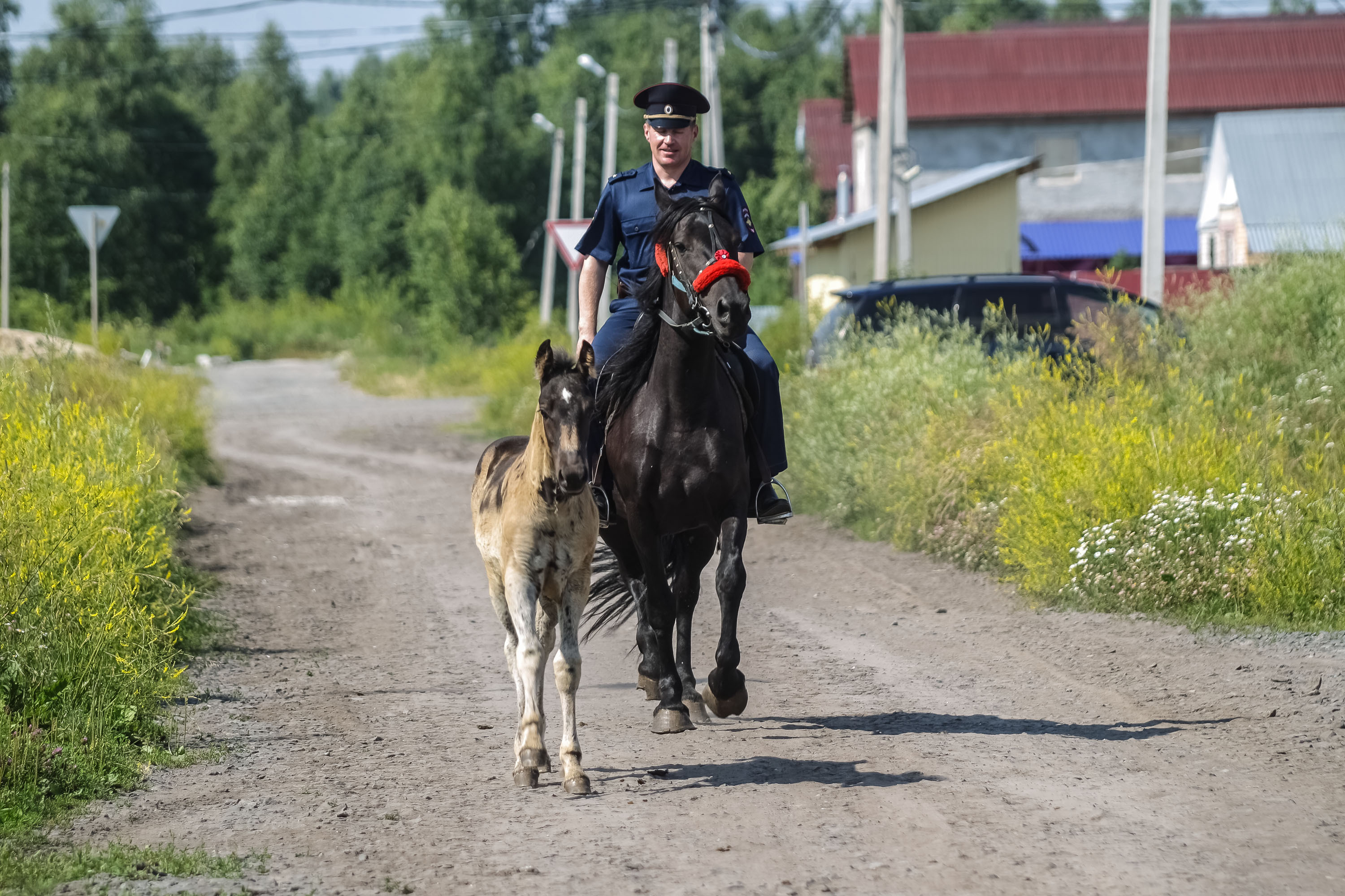 Нарушители не понимают, кто к ним приехал: под Тюменью появилась «конная  полиция» - KP.RU